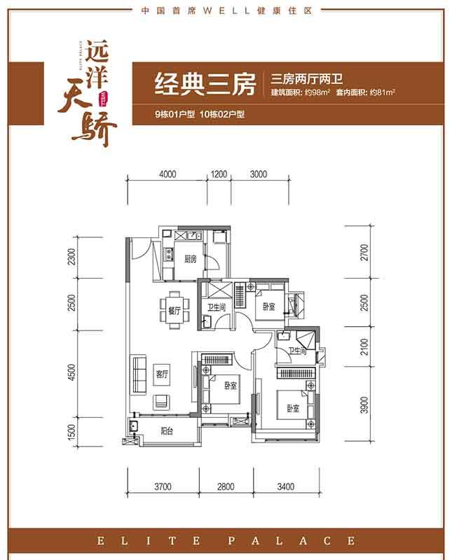 远洋天骄9栋01户型/10栋02户型